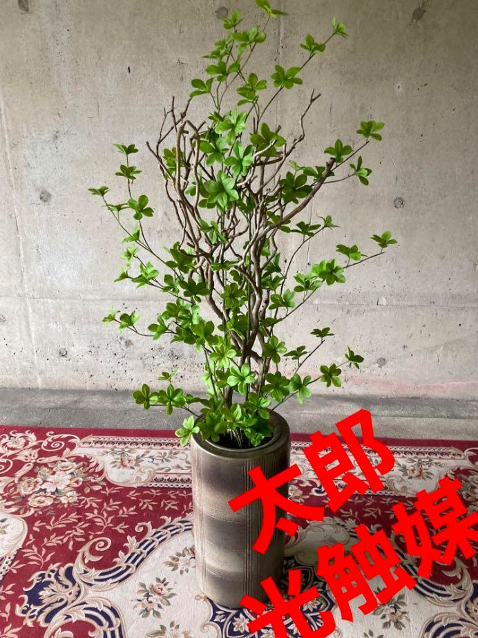 光触媒 人工観葉植物 ウォールグリーン フェイクグリーン リアル