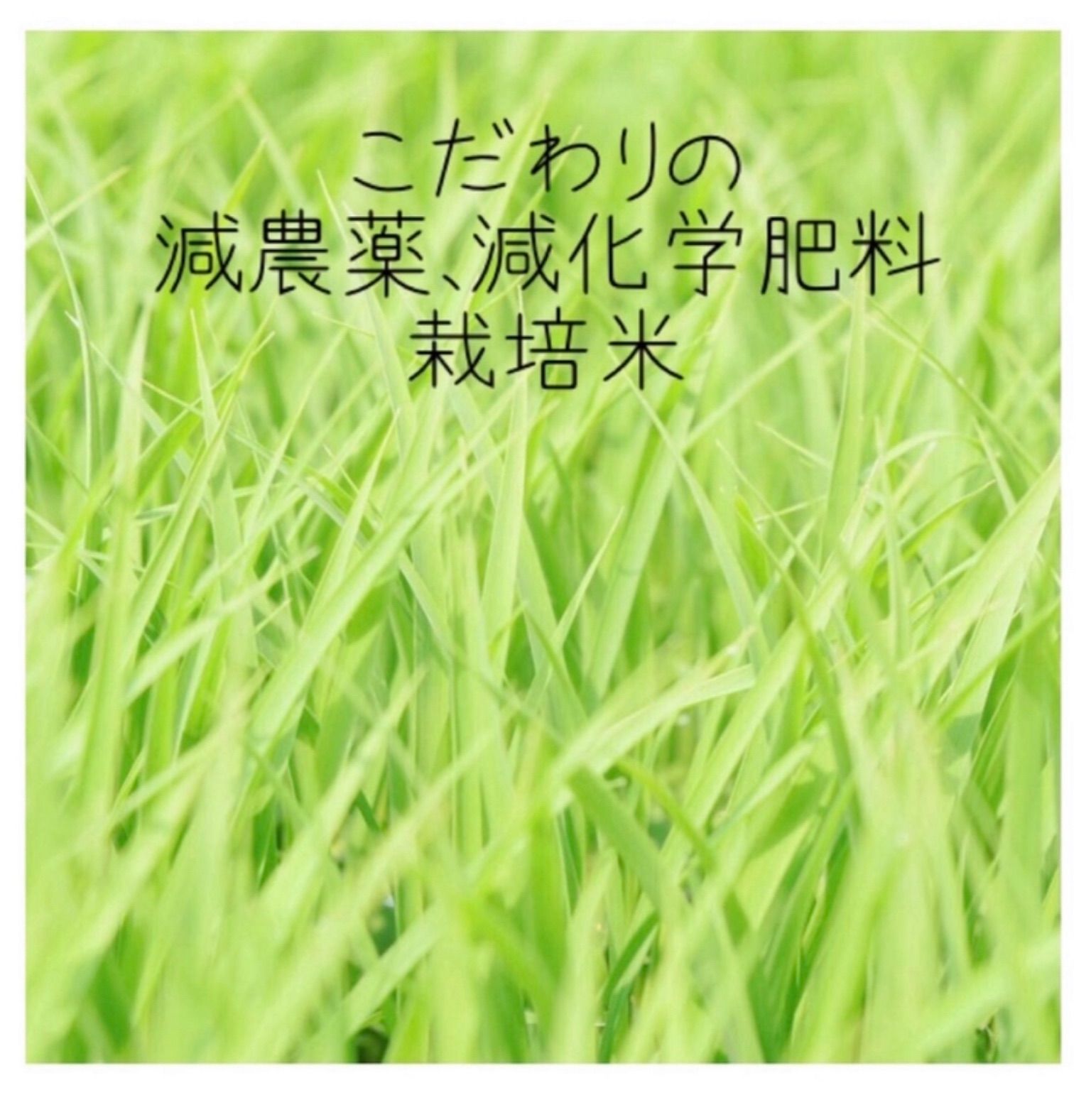 のサムネイル