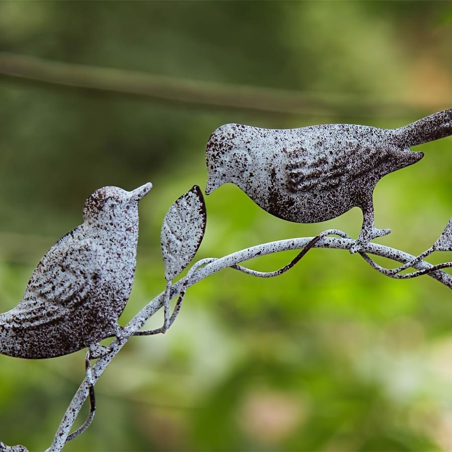 野鳥観察
