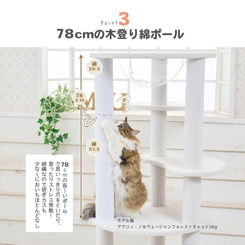 キャットタワーMau ビアンカ 送料無料 カスタマイズタワー - メルカリ