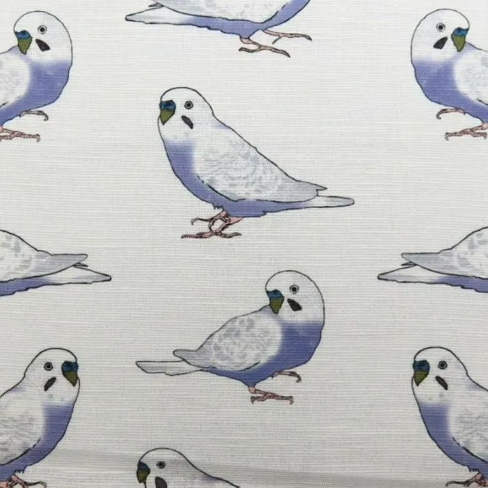 ゆきちゃん限定】X576 セキセイインコ ライラック ホワイト 1m - メルカリ