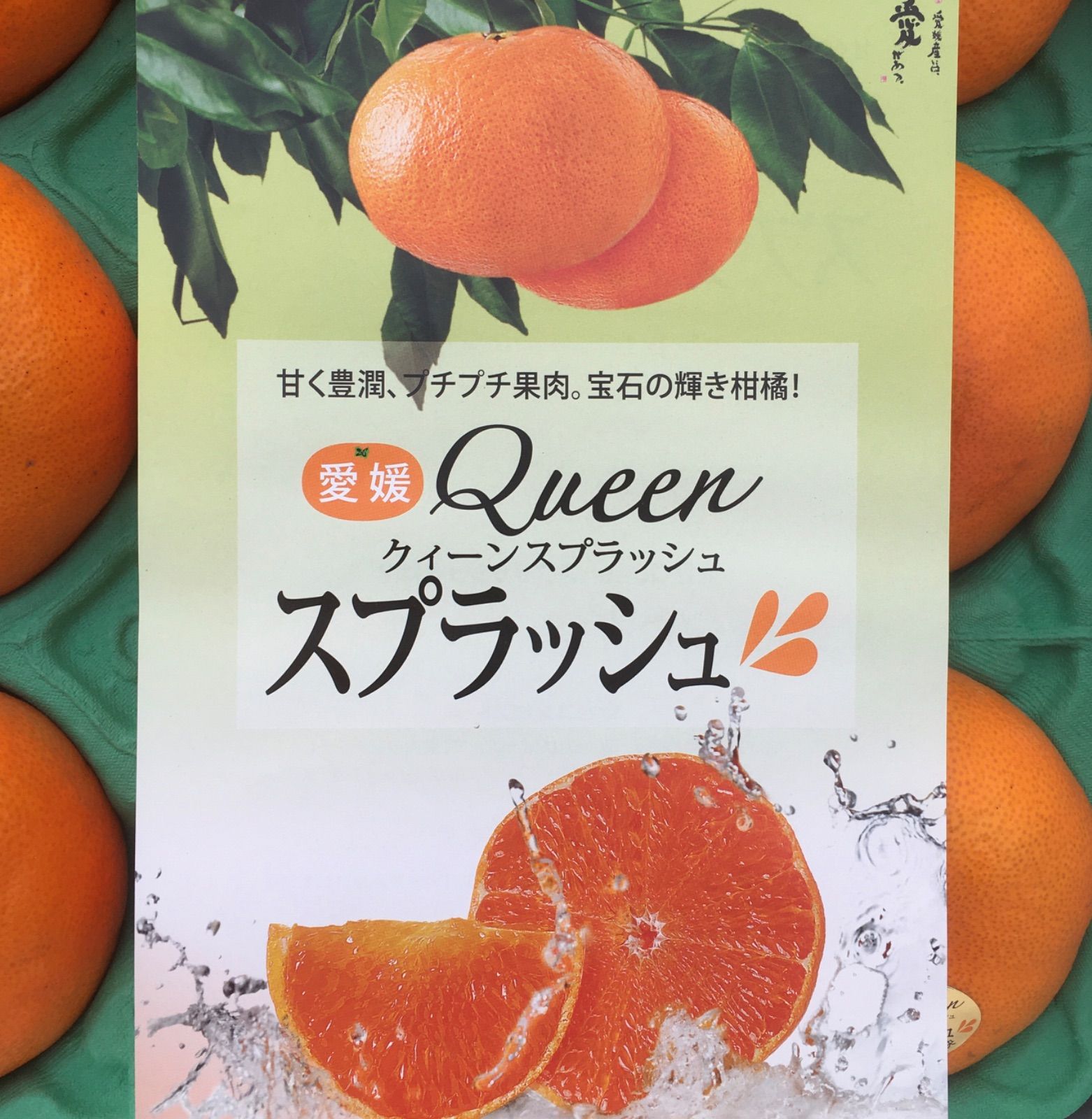 甘平（かんぺい）愛媛Queenクイーンスプラッシュ通販 糖度13度以上！栽培全量の10％ほどの希少性 約8玉〜約12玉