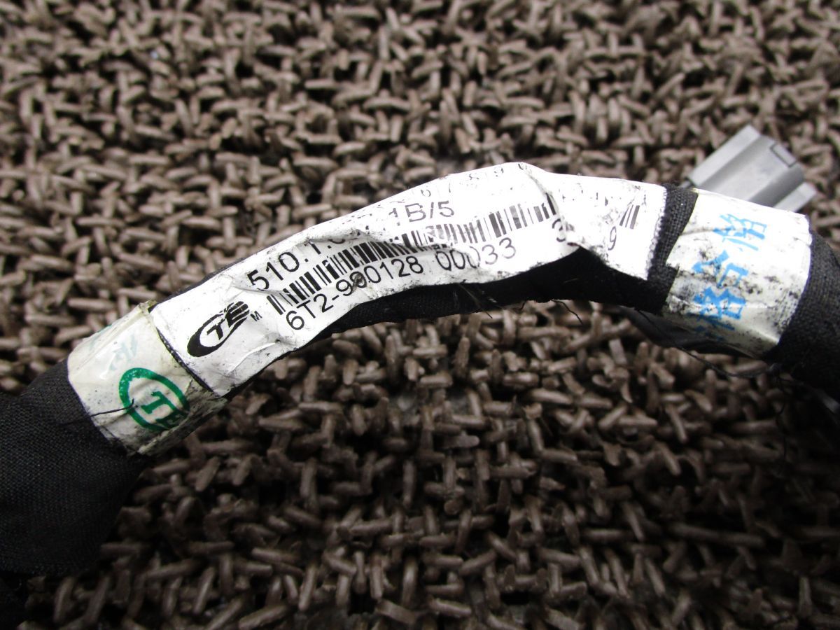 モンスター 動画有