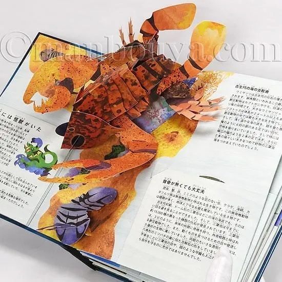 ★ちくわ★SHARKS 海の怪獣たち他 Amazon.co.jp: Sharks海の怪獣たち: エンサイクロペディア太古の