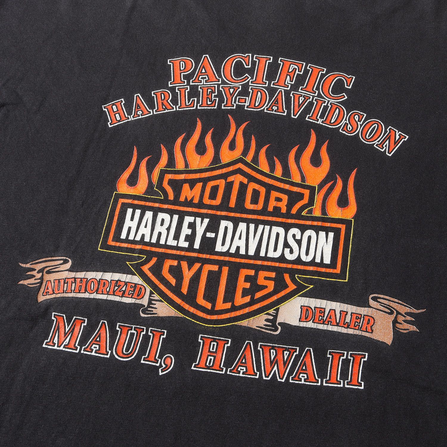 HARLEY-DAVIDSON ハーレーダビッドソン Tシャツ サイズ:L 00s HOLOUBEK 