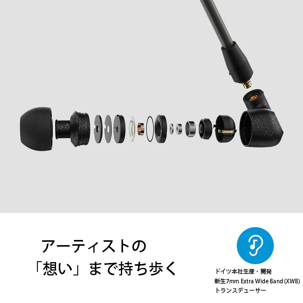 ブラック ダイナミック