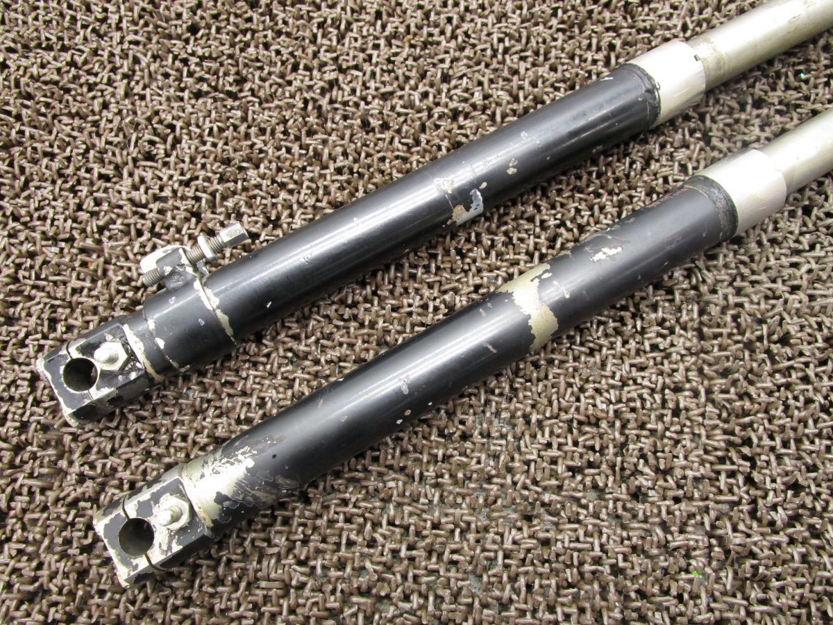 トライアンフ T20
