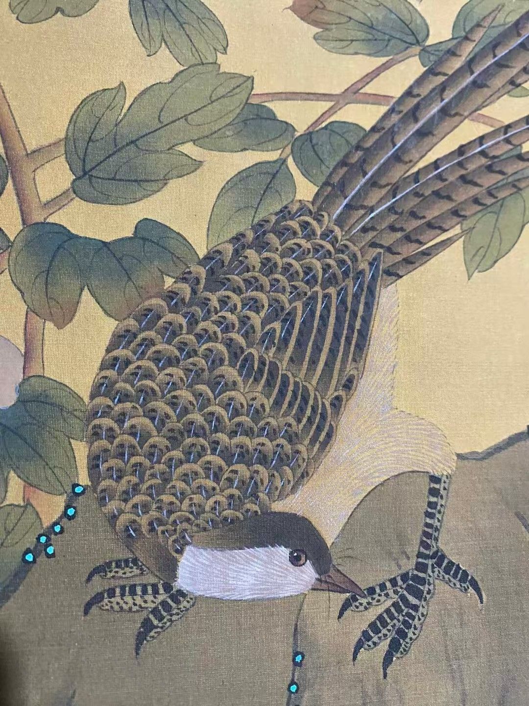 ♦中国 梅花尾長鳥 書画骨董 水墨画 絵画 骨董品 コレクション アンティーク ♢中国 梅花尾長鳥 書画骨董 水墨画 絵画 骨董品 コレクション