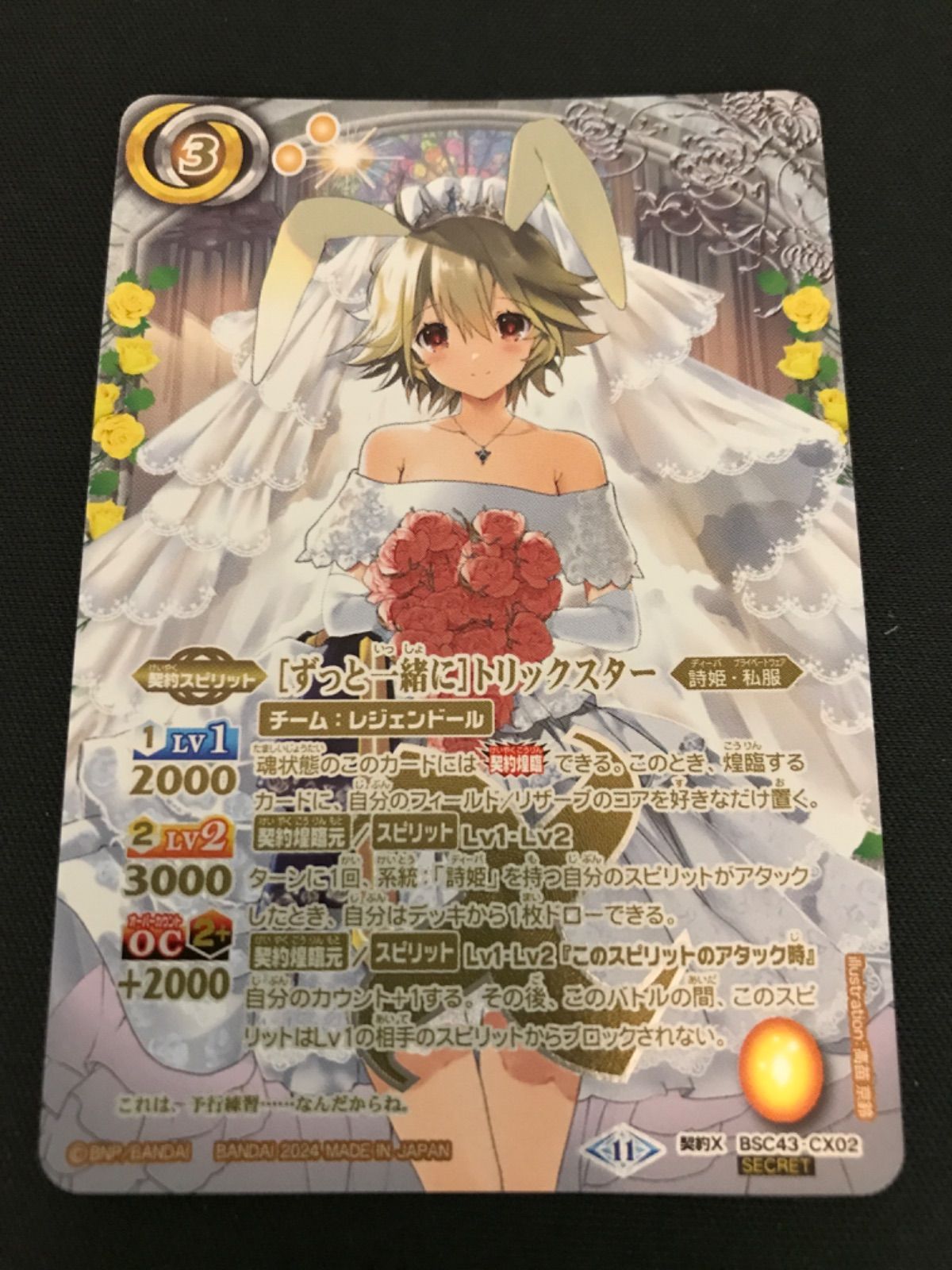 徒手療法協会 花山形態矯正 モルフォセラピー 形態矯正DVDセット CD 