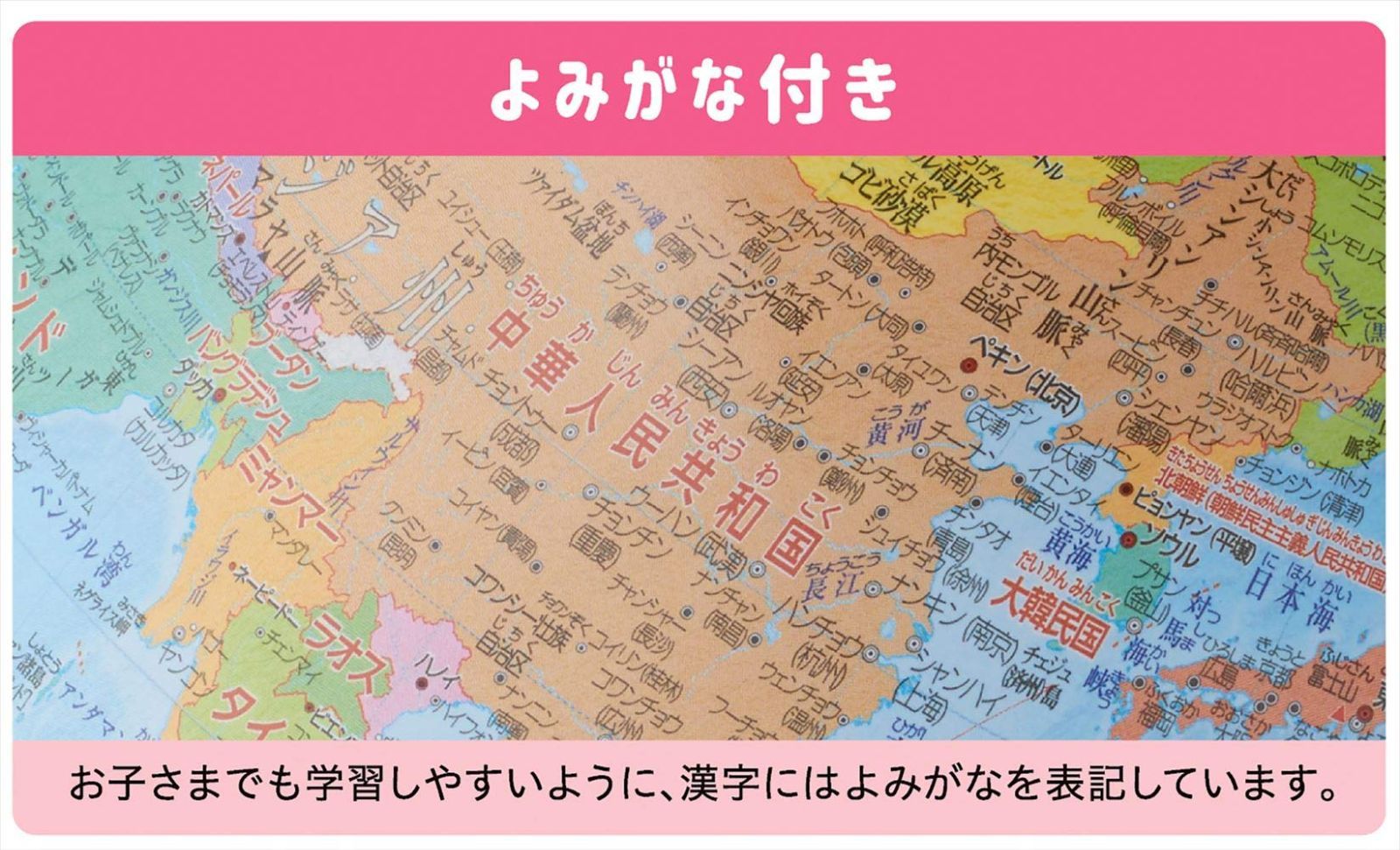 行政タイプ