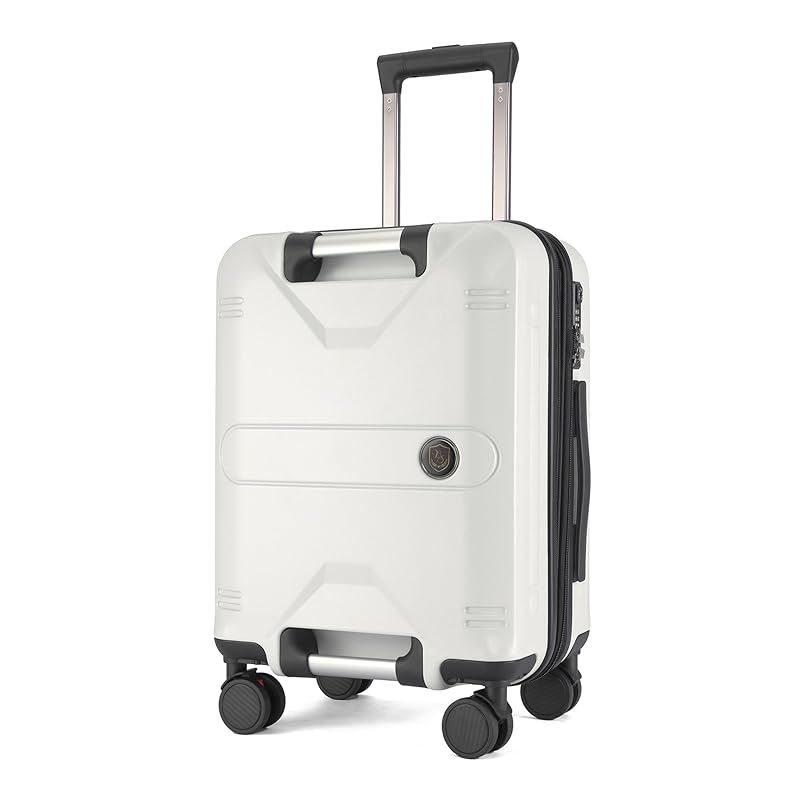 庭藤盆栽（持ち込み古い） 藤盆栽