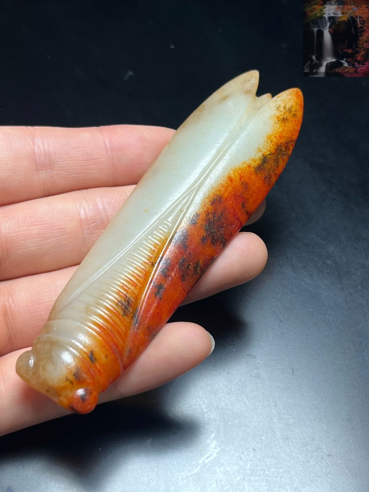 旧家旧蔵 清 玉彫 和田玉玉質細膩 沁色入骨 置物 極細工 稀少珍品 古美術 旧家蔵出し 和田玉細密彫 羊脂白玉 沁色自然 一鳴驚人 彫刻 根付