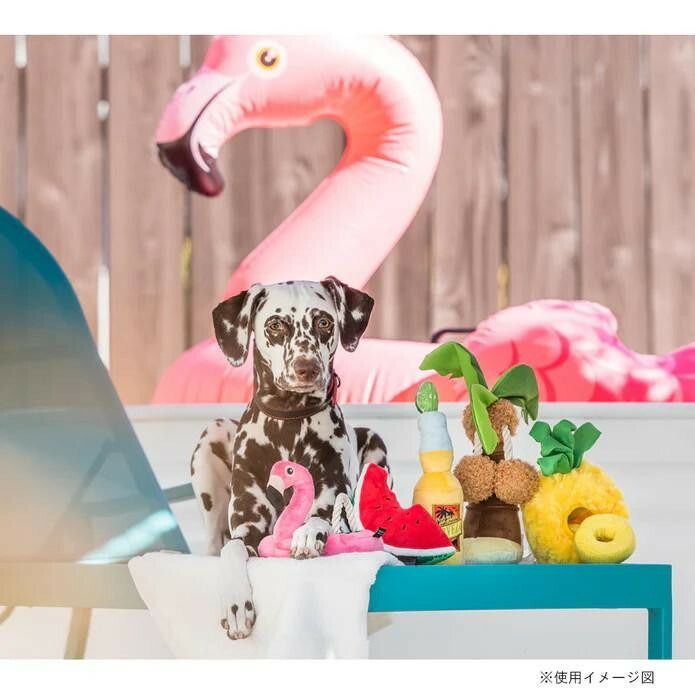  P.L.A.Y. トロピカルパラダイス BOXセット ペット用品 おもちゃ 犬用品