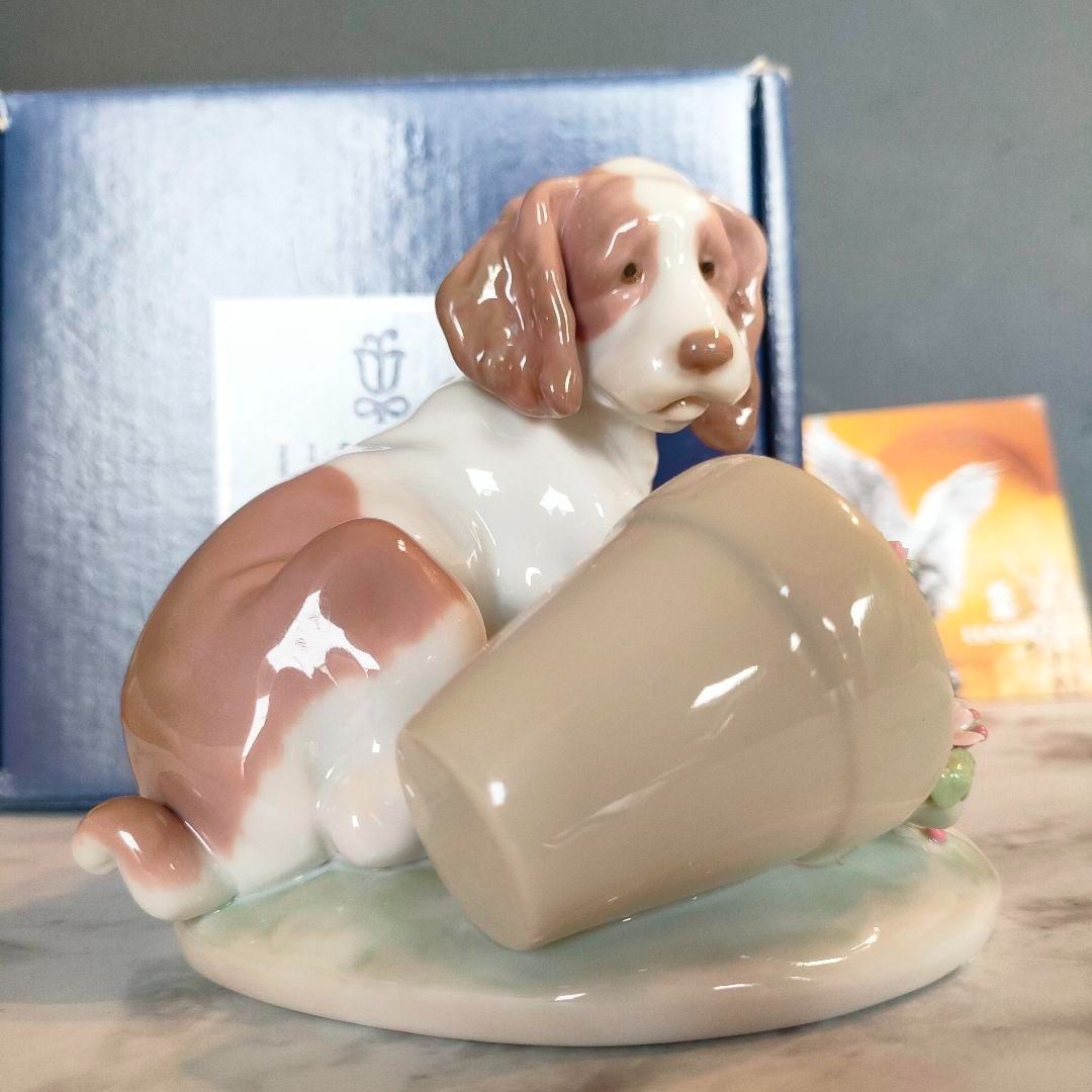 美品 ロイヤルドルトン 犬の置物 陶器製 リヤドロ 美品 ロイヤルドルトン 犬の置物 陶器製 リヤドロ 【公式通販】