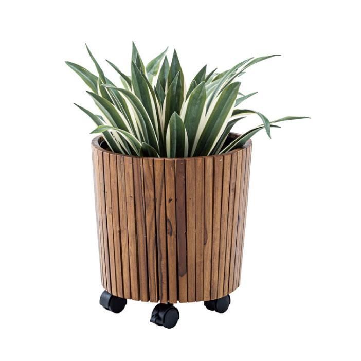 人工観葉植物 アガベ