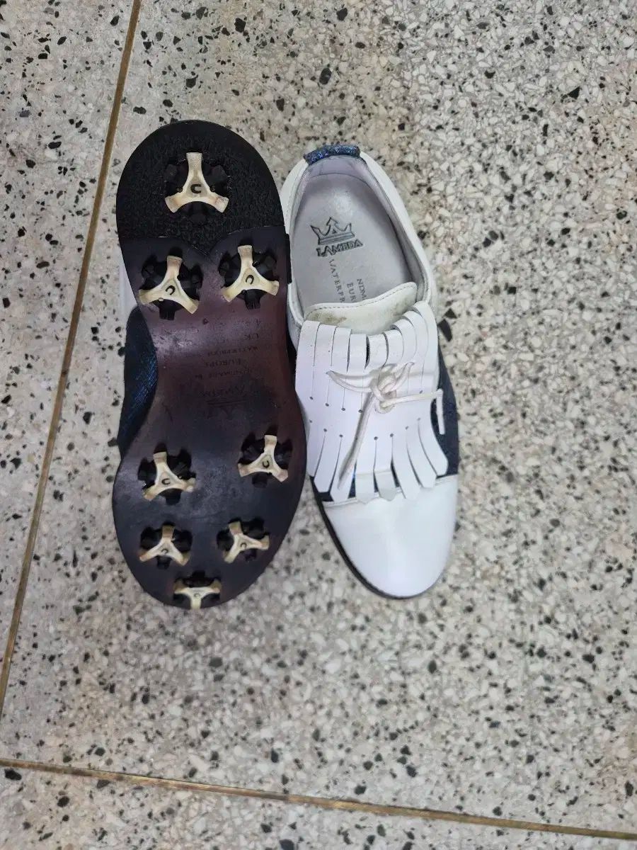 レディース 235mm