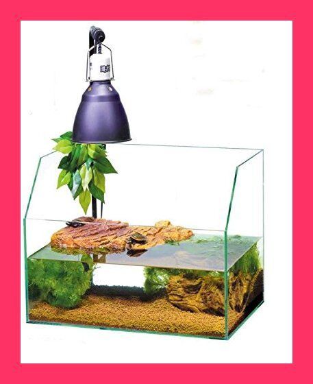 （まとめ）タートルバンクS PT3800〔×3セット〕 まとめ）タートルバンクS PT3800〔×3セット〕