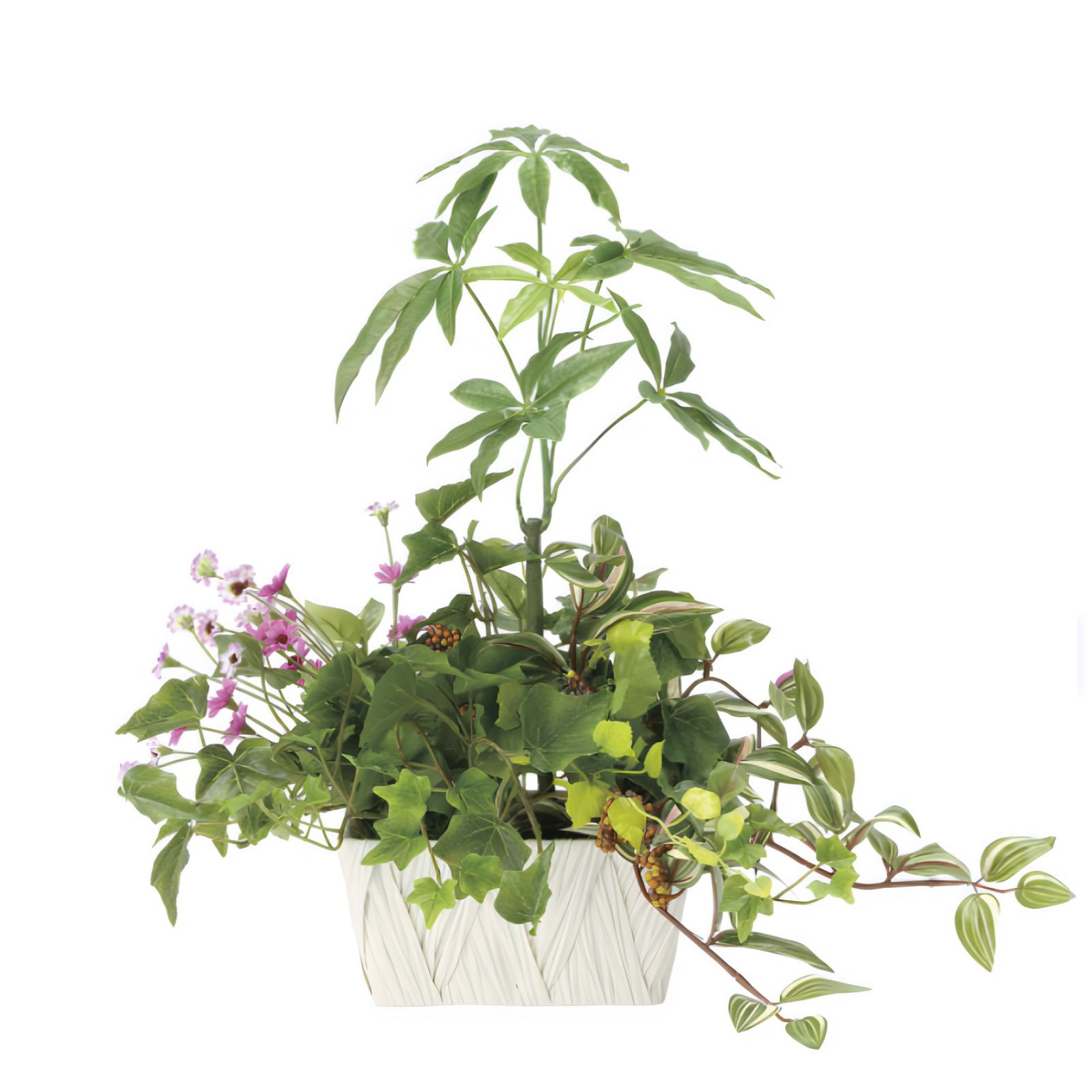 光触媒　人工観葉植物　ウォールグリーン　フェイクグリーン　胡蝶蘭　メローホワイト 光触媒 人工観葉植物 ウォールグリーン フェイクグリーン 胡蝶蘭