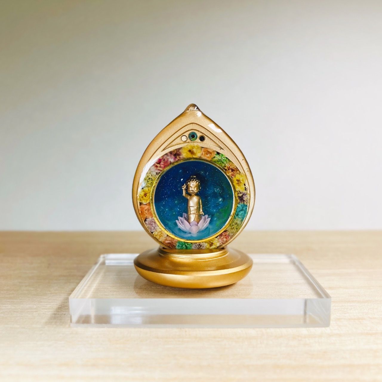 ハヤテのごとく! 50 「超貴重!初だしポストカードブック」付き限定版