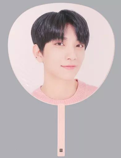 中古】うちわ(男性) ジョシュア うちわ 「SEVENTEEN 2019 JAPAN TOUR