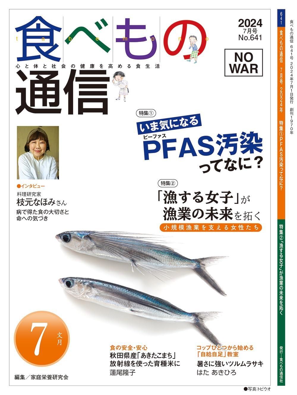 Helinox×Corona Extra 最高 ヘリノックス×コロナWネームチェア