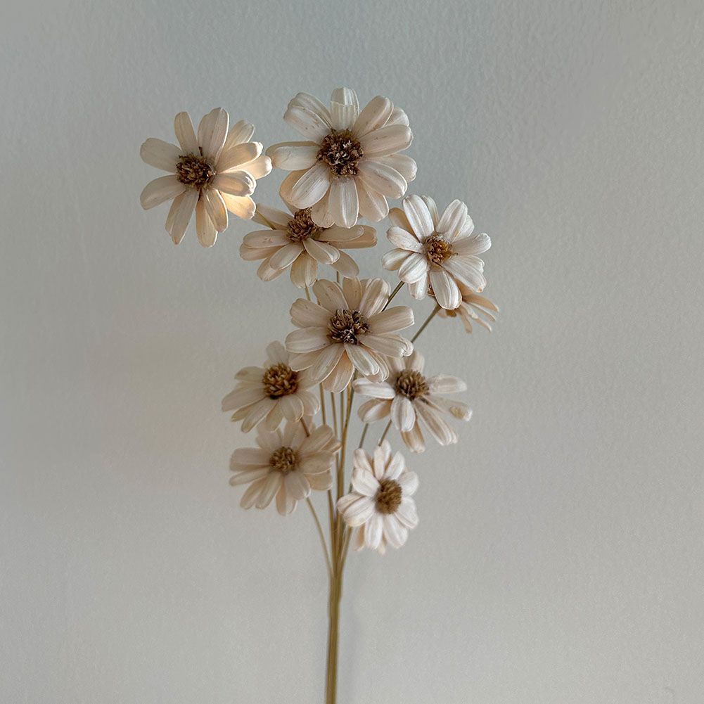 マーガレット　花束　ブーケ　ドライフラワー　プリザードフラワー ドライフラワー花束💐 Mサイズのドライフラワー花束 大人っぽい