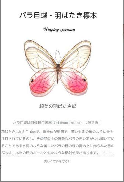 アカギ色トンボ標本顔バラ顔蝶蝶標本顔レベル高い動物展示枠置物