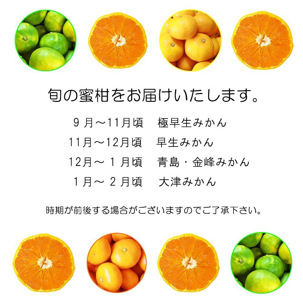 大人気!!熊本県産 小玉みかん 20kg 熊本県のその他みかんで産地直送の商品｜食べチョク｜産地直送(産直)お