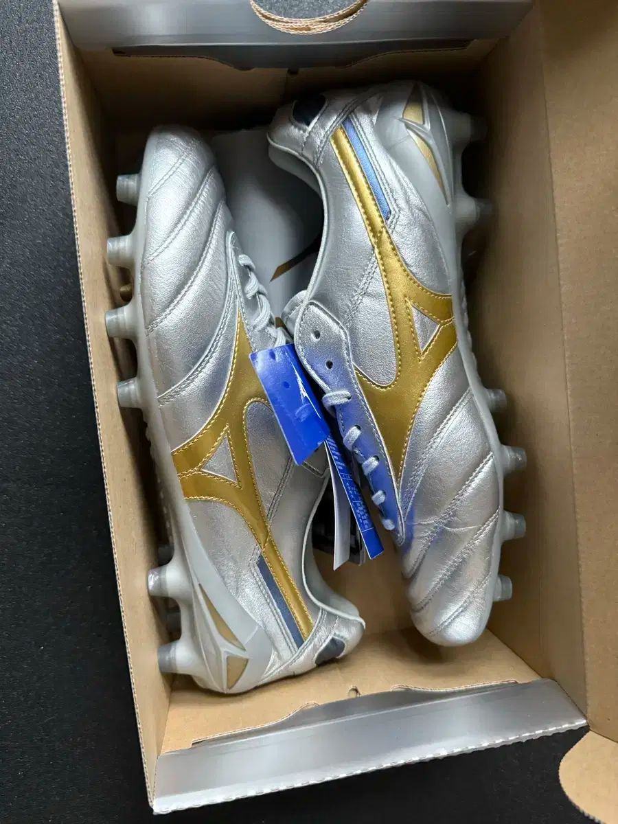 mizuno ミズノ モレリア dna 265 サイズ