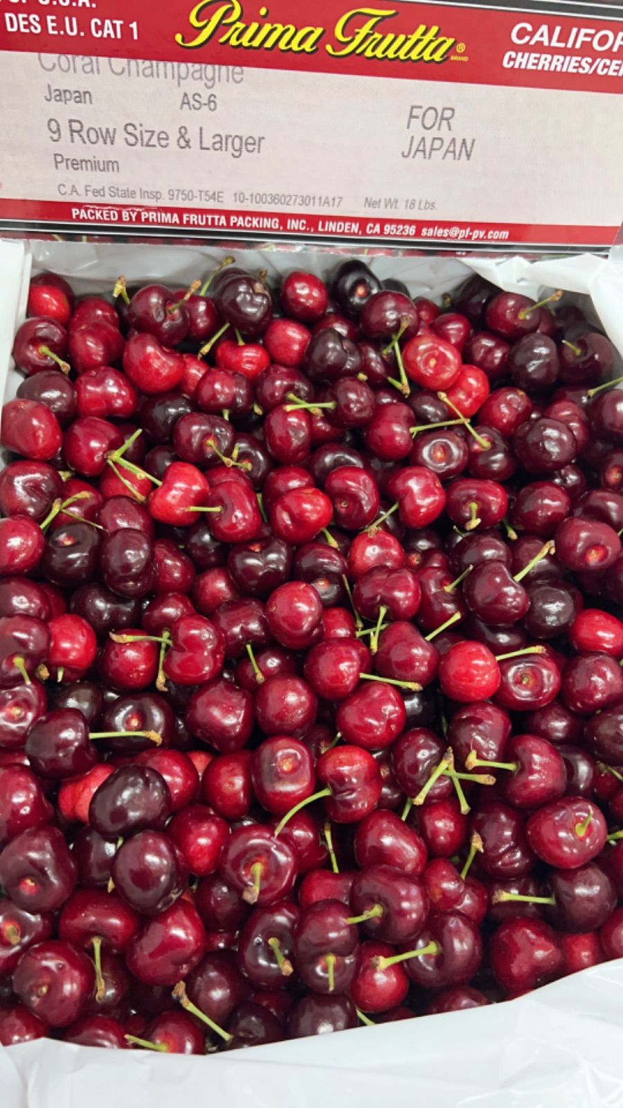 9Rアメリカンチェリー4kg