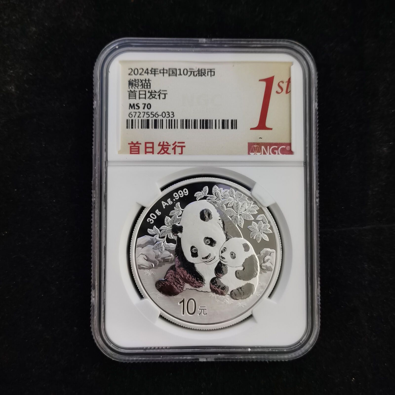 First Day of Issue - 2025 China 10 Yuan 30 g Panda Silver Coin NGC MS70
