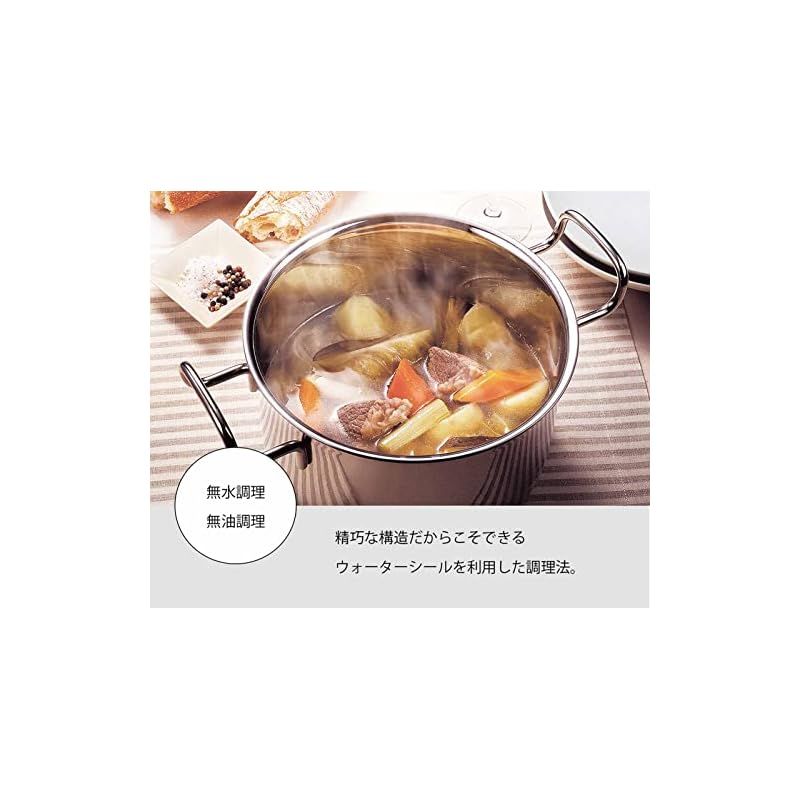 ジオ 両手鍋 22cm GEO-22T 1