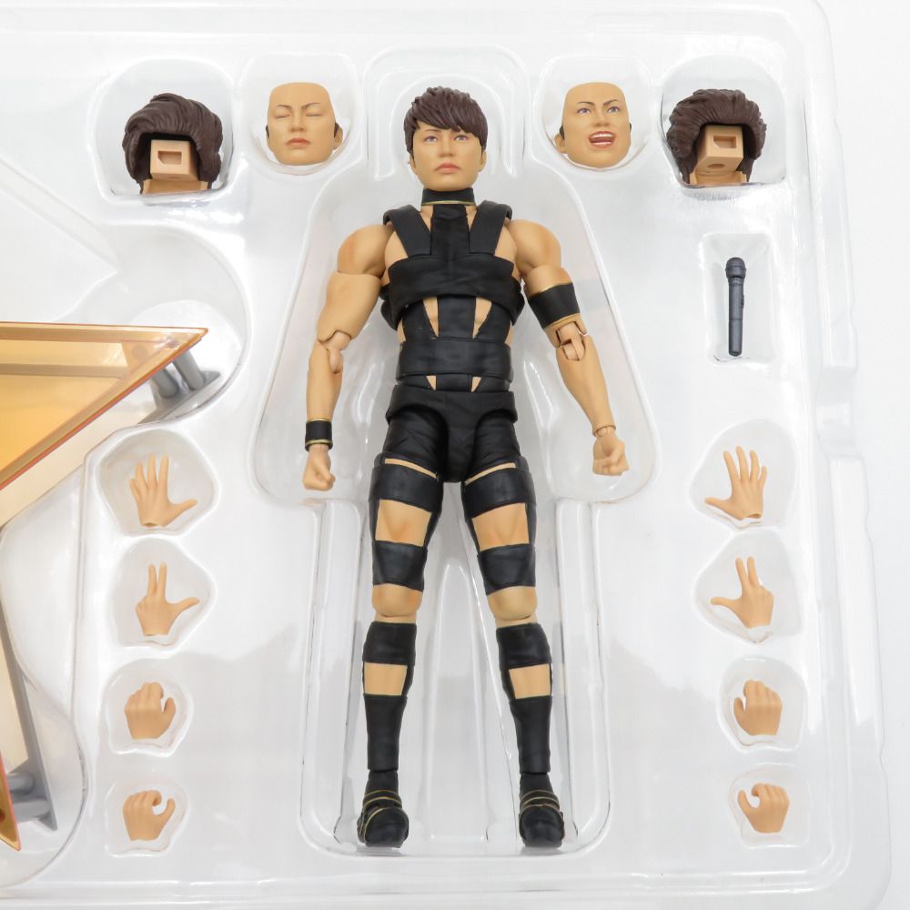 T.M.Revolution 開封品 S.H.Figuarts エスエイチ フィギュアーツ 