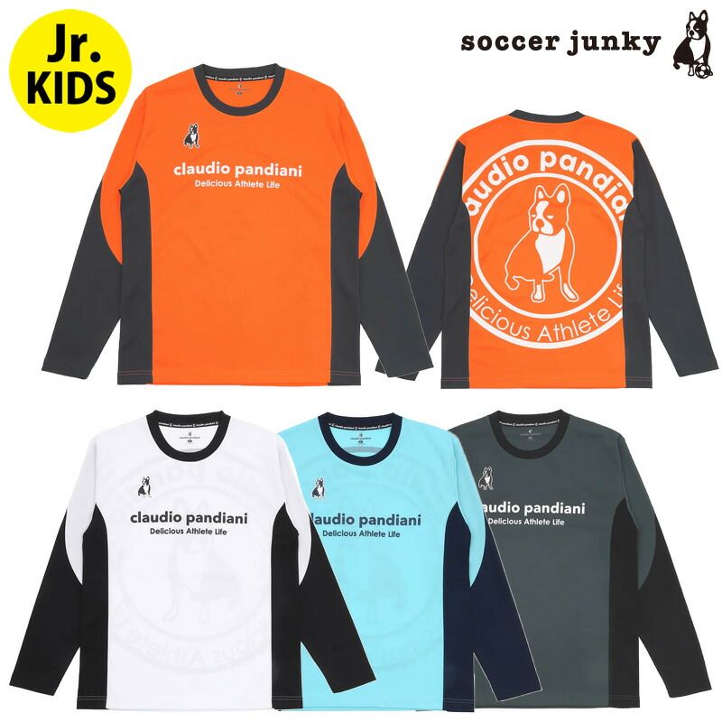 PIEPS ピープス DSP アバランチ ビーコン 雪崩 アバランチギア