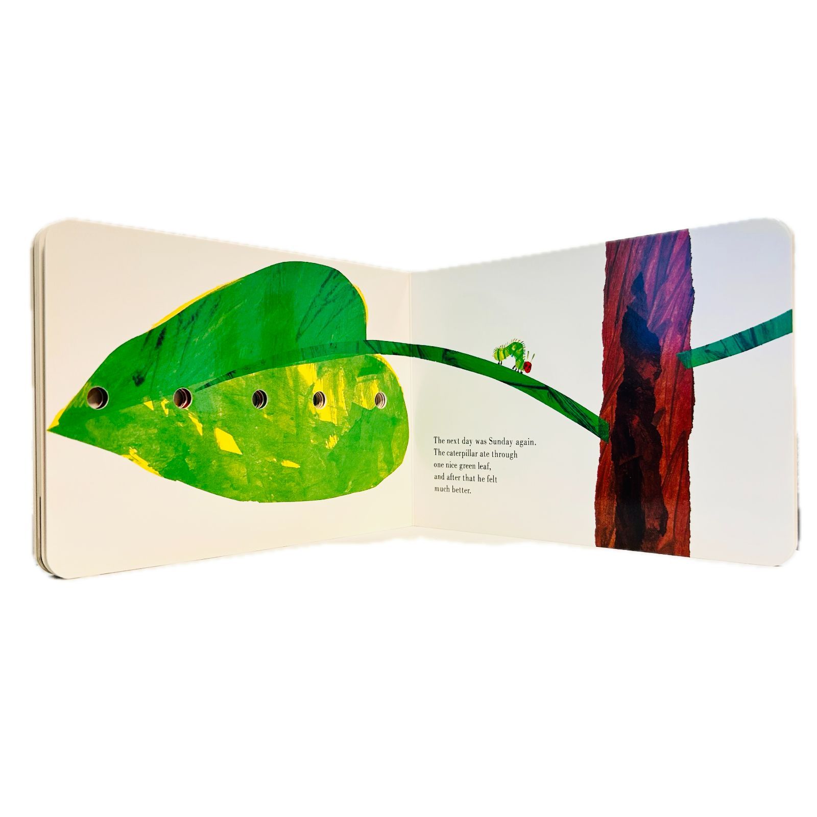 The Very Hungry Caterpillar はらぺこあおむし 英語絵本 ボードブック