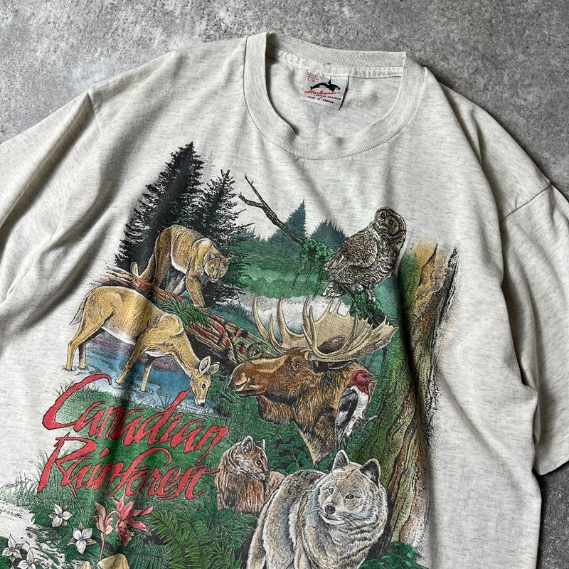 シングルステッチ プリントTシャツ アニマル 動物 自然 グレー古着屋_