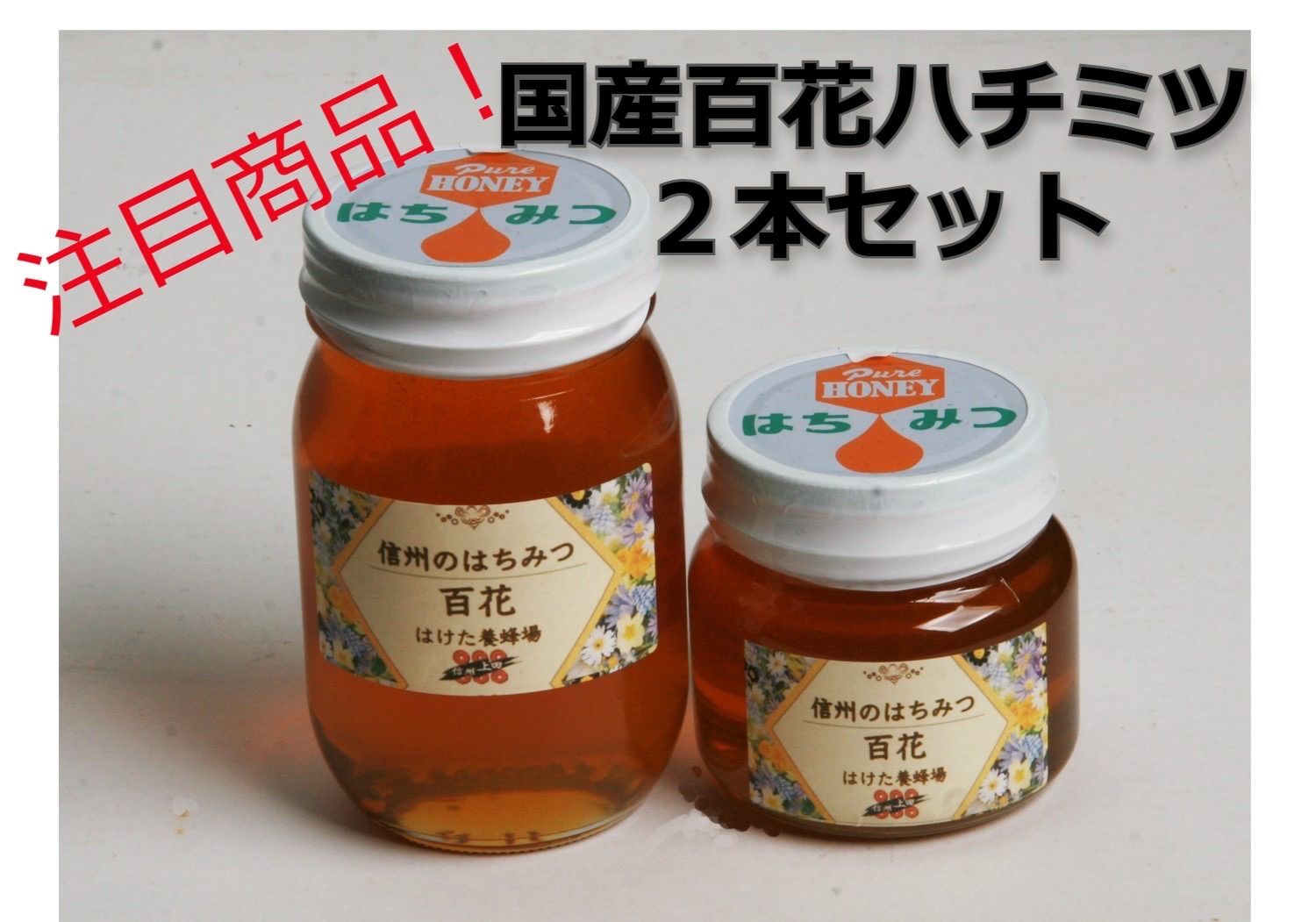 新版 国産蜂蜜 長野県産 300g×2