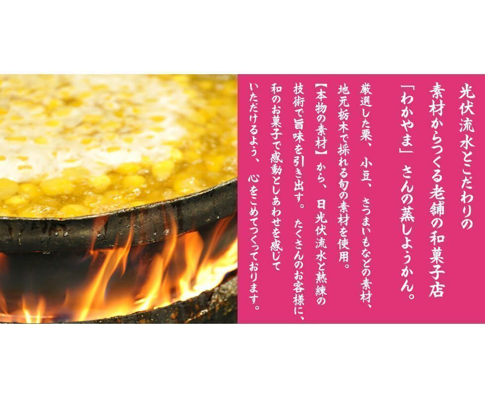老舗 羊羹 羊かん ようかん～栗蒸し 芋 黒豆 小豆 4種類 計5個セット 羊羹-2