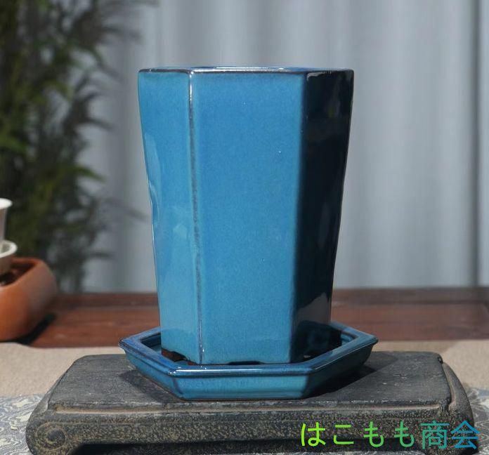 ファッション 通販ホビー・楽器・アート - 六角鉢 多肉植物鉢