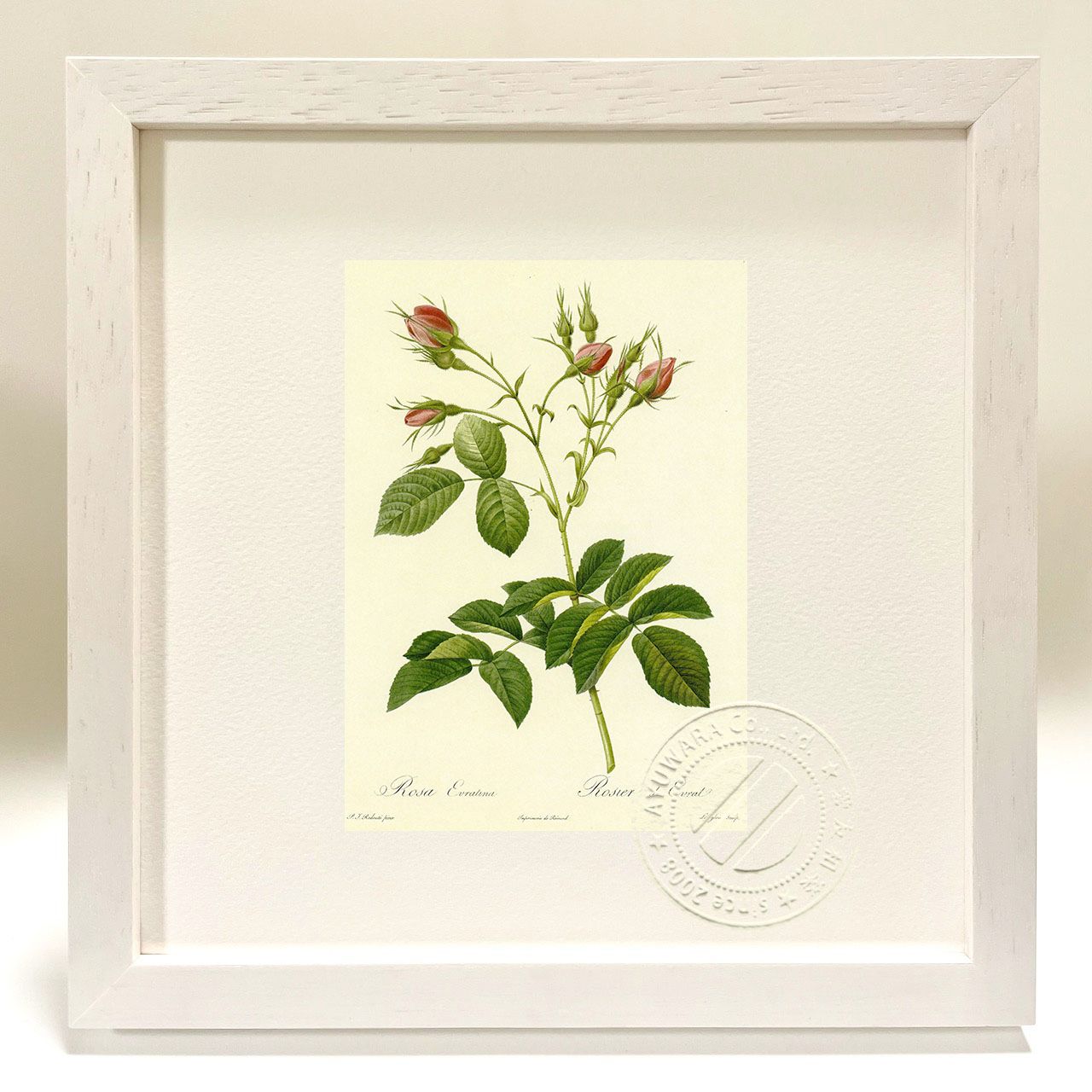ルドゥーテ バラ 植物画 ボタニカルアート 額 額装 2枚分 楽天市場