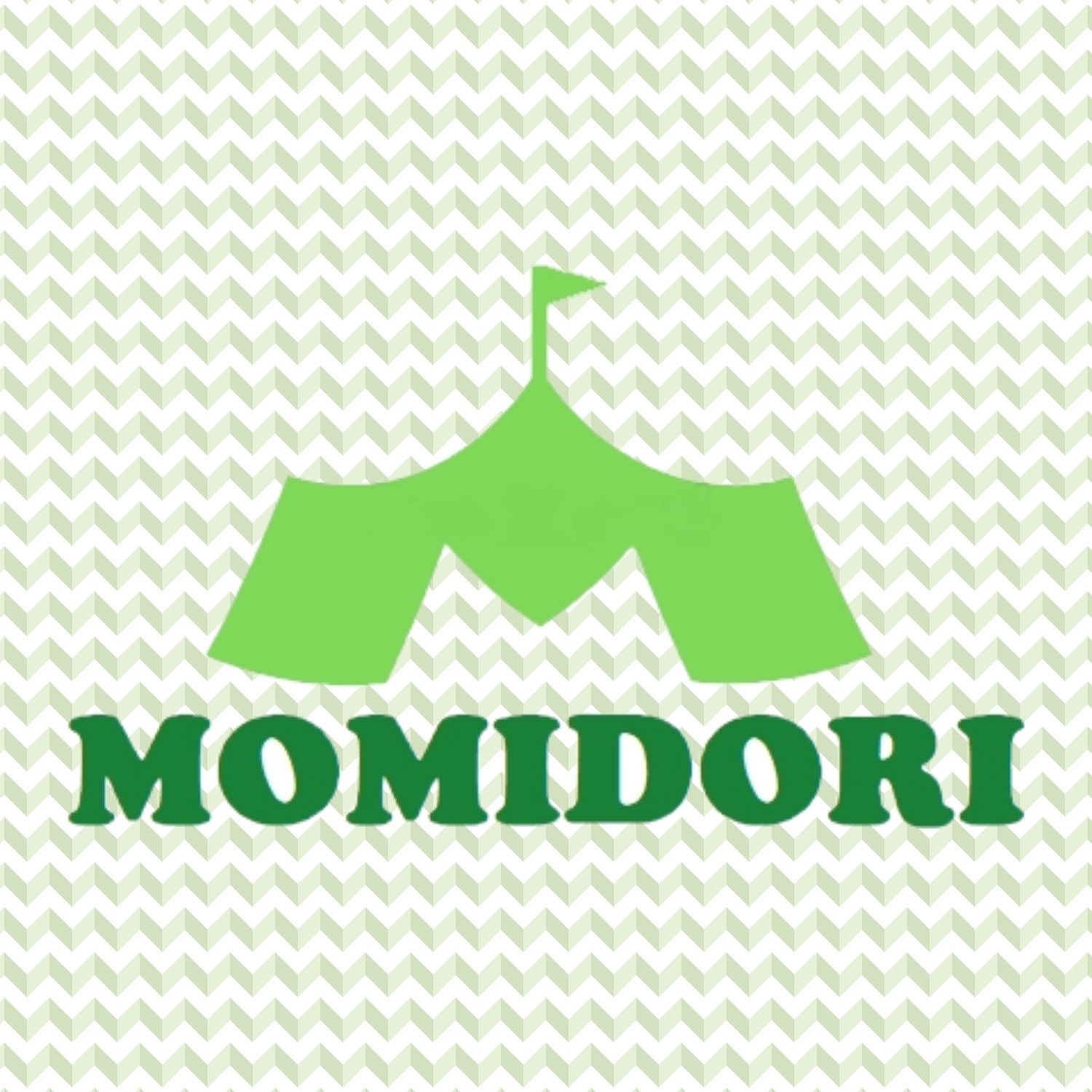 MOMIDORI ヘッド付きチタンペグ 夜光固定ロープ付き30cm 10本セット-