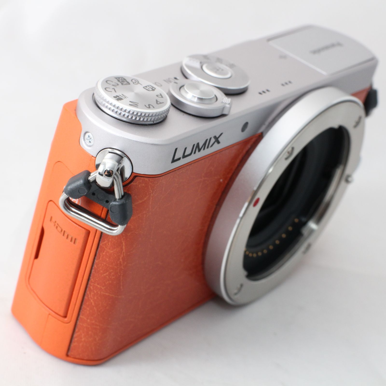 LUMIX GM