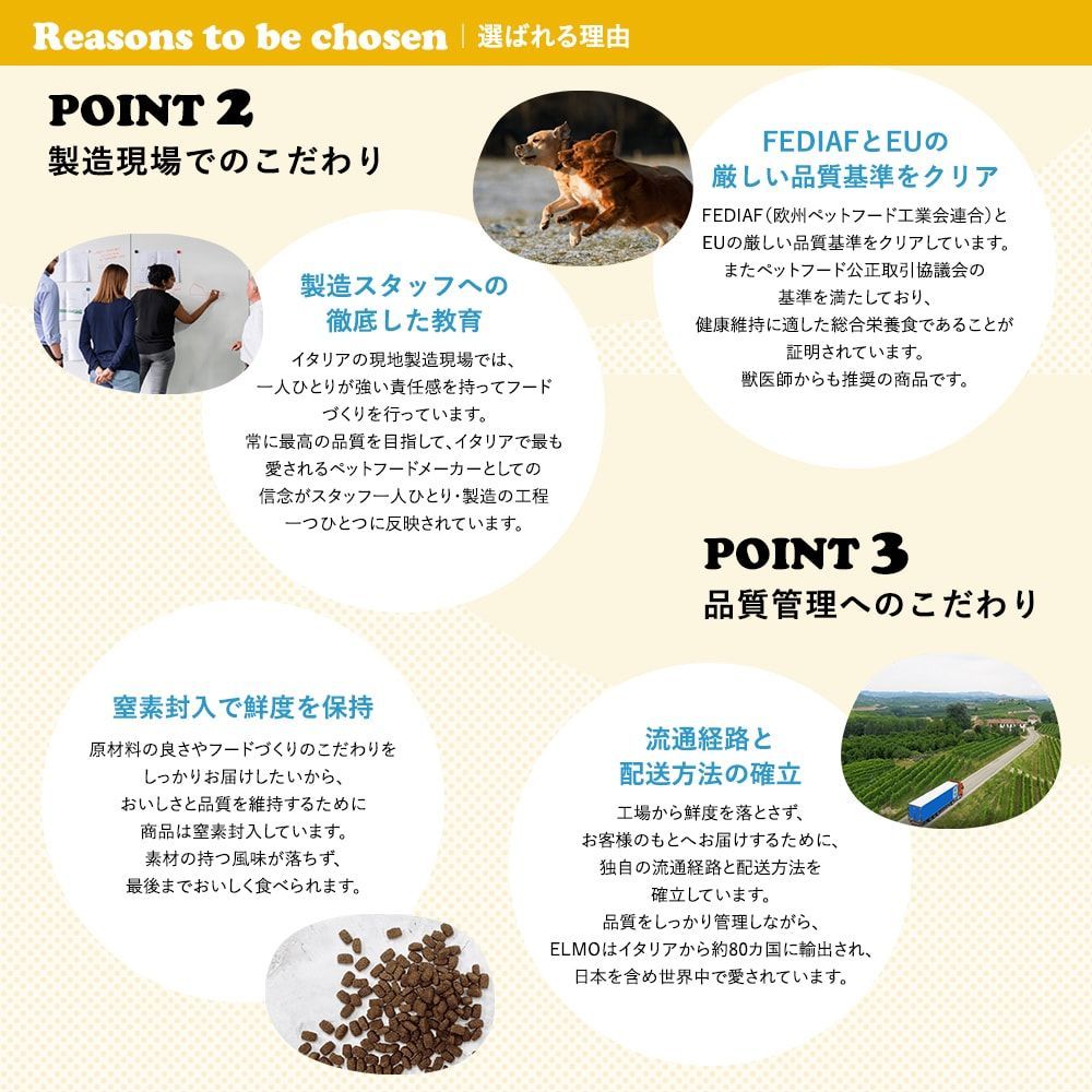 ドッグフード 人工着色料人工保存料不使用