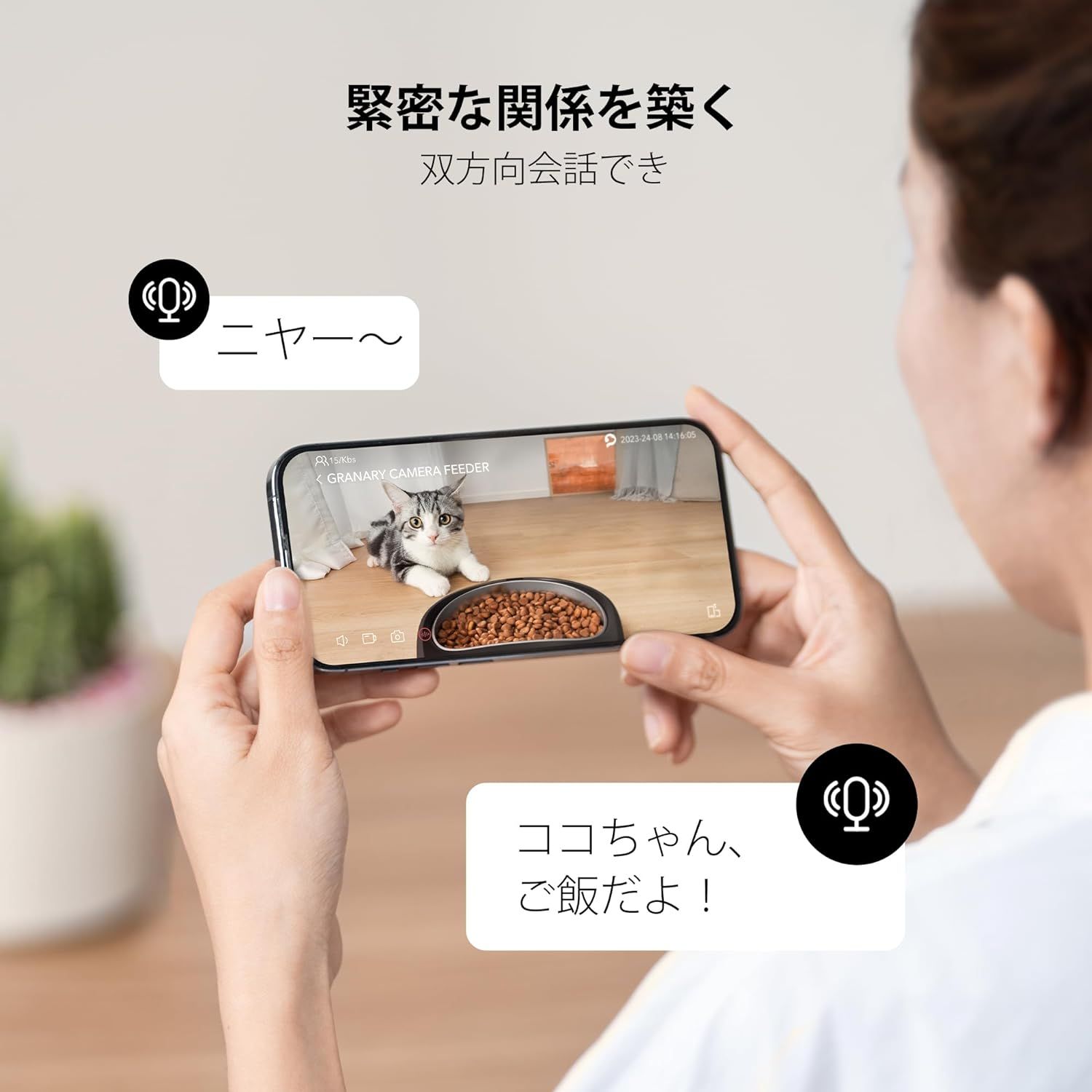 動体検知