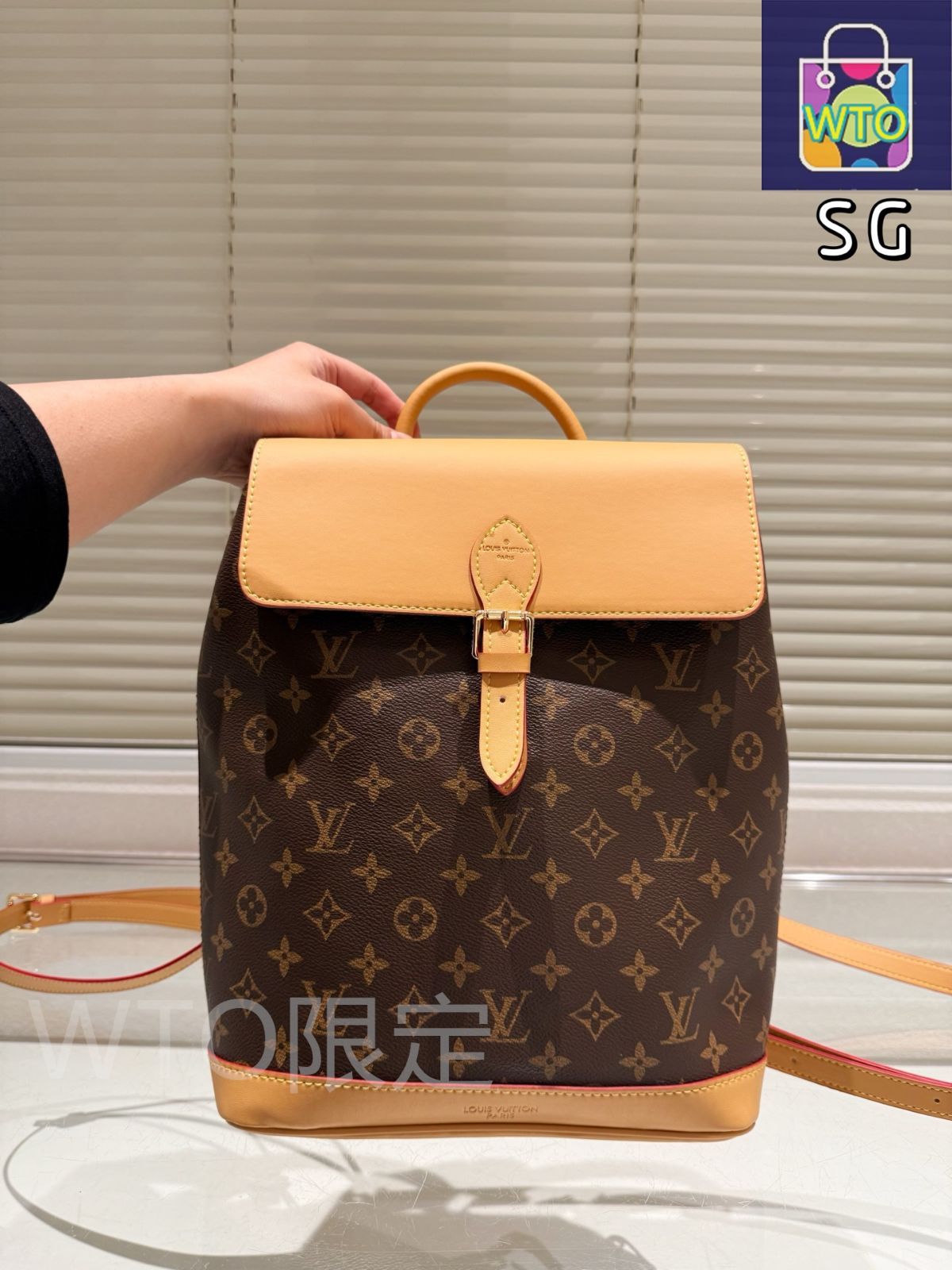 並行輸入Louis Vuitton リュック LV ルイ・ヴィトン リュック バックパック レディース