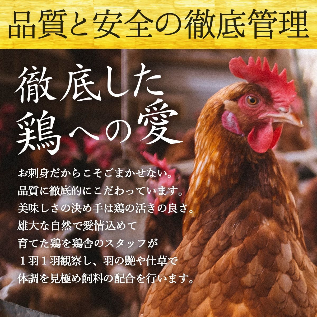 国内産 鳥刺し 180g×3パック ショップ 冷凍便 タレ付き 国産 鶏刺し