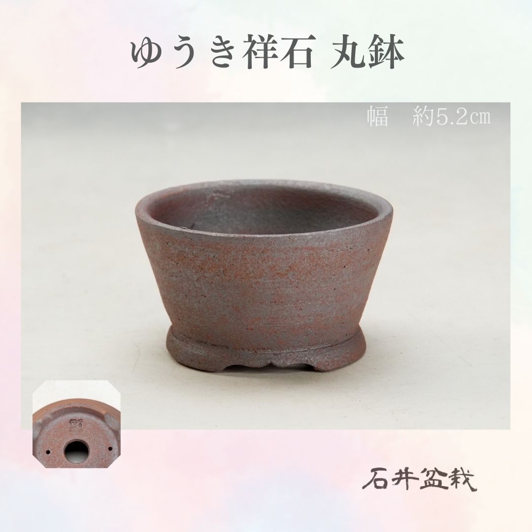 石井盆栽】ゆうき祥石 鉢 丸鉢 新品 横幅約5.2㎝p-130 - メルカリ
