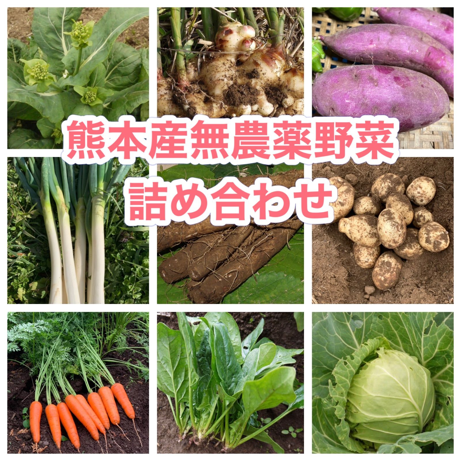 熊本産農薬不使用野菜詰め合わせ - メルカリ