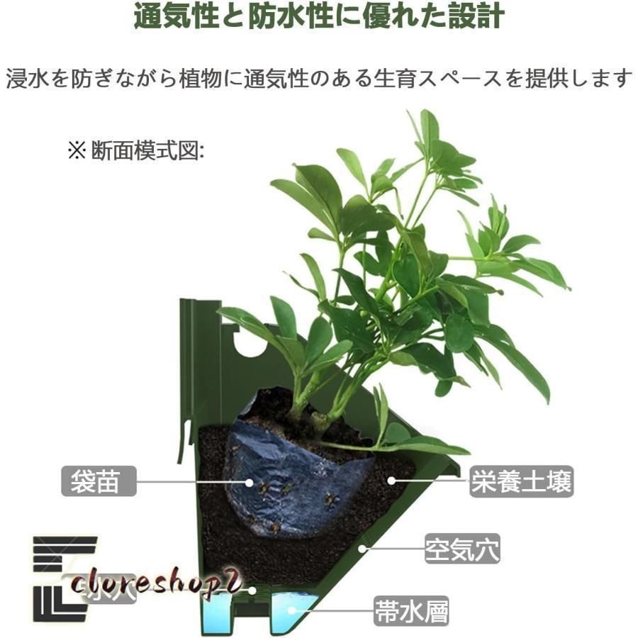 インテリア栽培