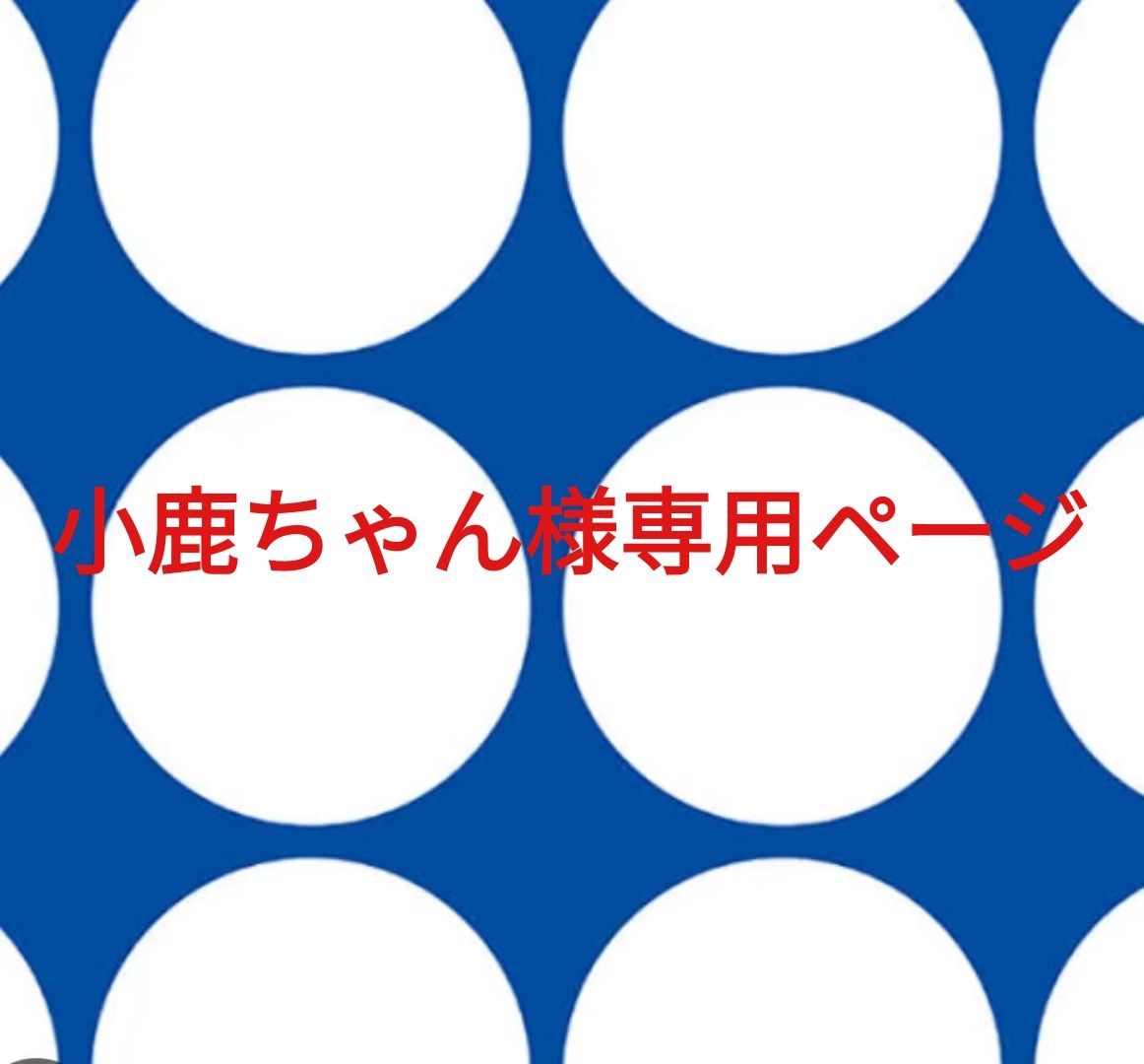 小鹿ちゃん様専用ページです。